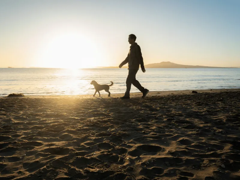 Person walking a dog along the beach at sunrise, highlighting how daily dog walks support physical activity and heart health.