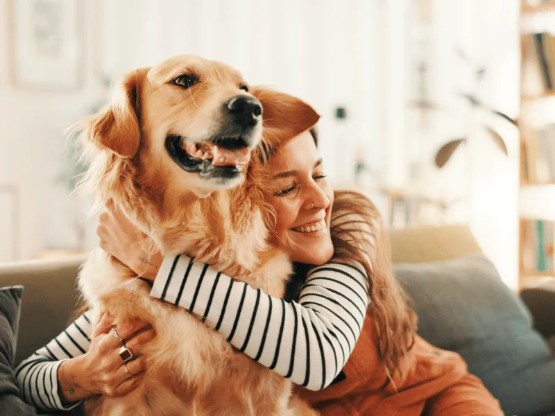 Woman cuddling a happy golden retriever on a couch, illustrating the heart health and wellbeing benefits of pet ownership