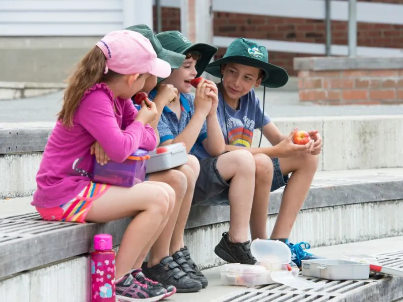 a group of kids having their afternoon lunch 