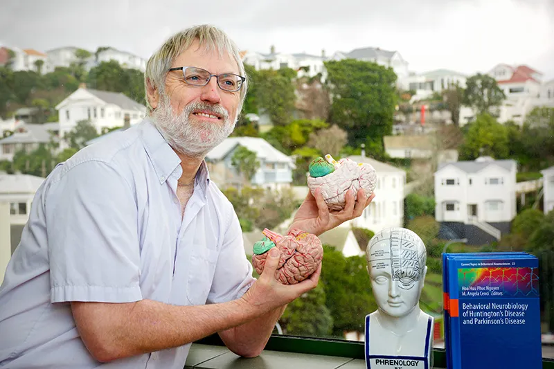 Portrait of Professor Bart Ellenbroek, School of Psychology, Victoria University, holding a scientific model of the brain in each of his hands.