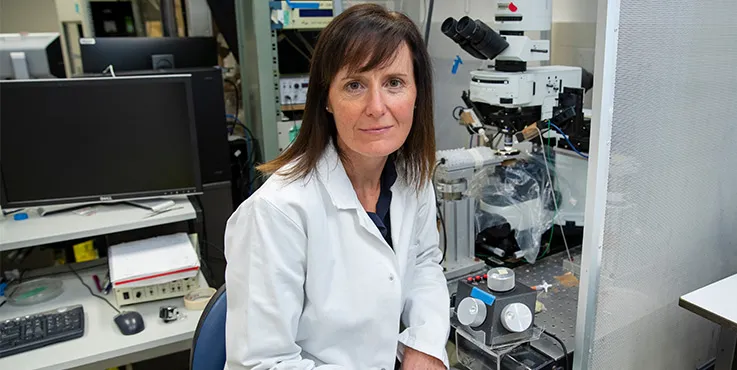 Associate Professor Johanna Montgomery Auckland University