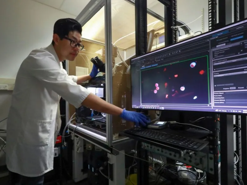 Dr Xin Shen analysing heart cells in a University of Auckland laboratory as part of research into a medicine-based pacemaker alternative.