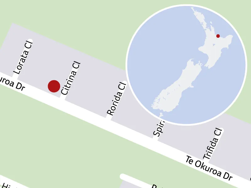 Map showing Papamoa property location pin near local streets, with inset map of New Zealand highlighting the area.