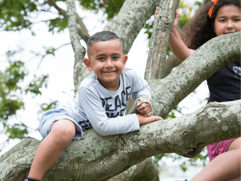 Two children climbing and sitting on the branches of a large tree outdoors, surrounded by green leaves.