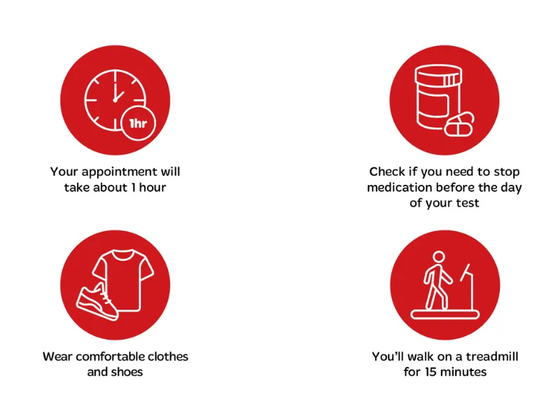 Infographic explaining exercise stress echocardiogram (ESE) preparation, with icons showing the appointment takes about 1 hour, wear comfortable clothes and walking shoes, avoid eating for 1–2 hours before the test, and that you may need to stop some me