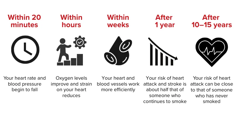 Infographic showing timeline of health benefits after quitting smoking, including improvements to heart rate, blood pressure, oxygen levels, blood vessels, and reduced heart attack and stroke risk over 20 minutes to 10–15 years.