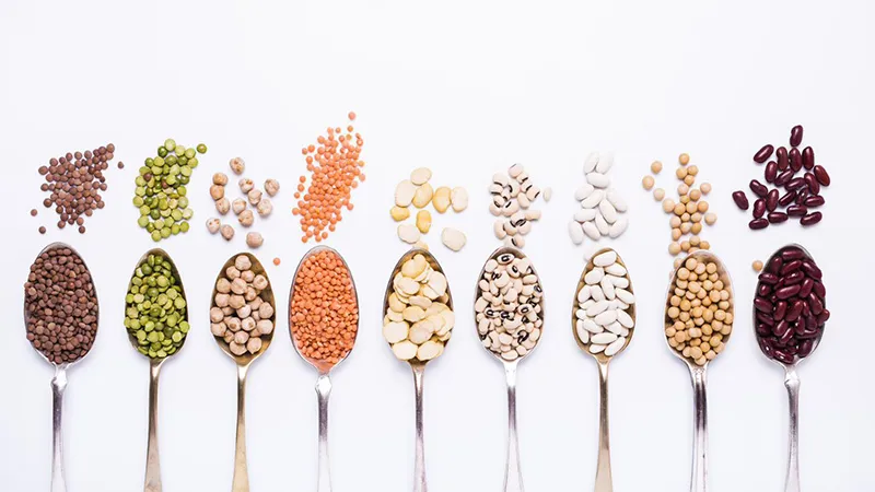 A colourful assortment of different types of legumes and beans presented on silver spoons.