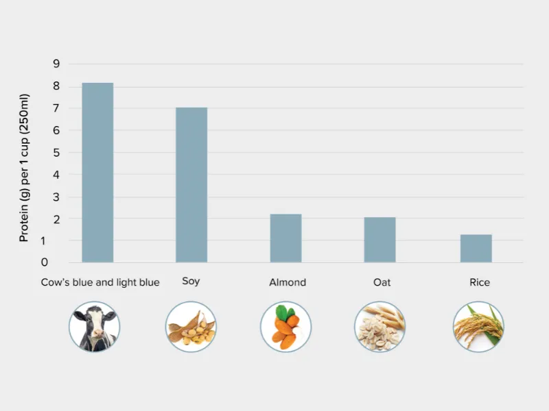 Bar chart comparing protein content per 1 cup (250ml) of different milks: cow’s milk (blue and light blue), soy milk, almond milk, oat milk, and rice milk, showing cow’s and soy milk have the highest protein, with lower amounts in almond, oat, and ric