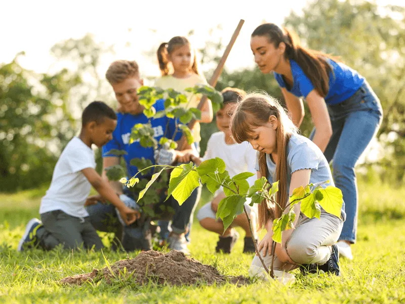 Group of children and a young woman planting saplings in a sunny outdoor park, participating in a tree-planting activity