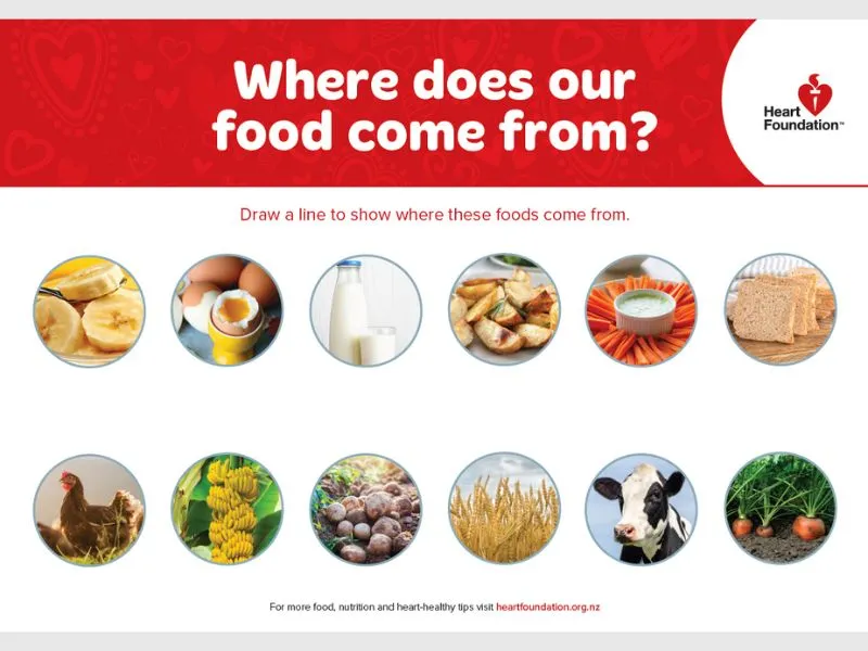 An activity sheet for early learning on where the food comes from.